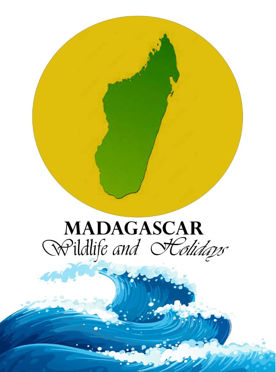 Madagascar wildlife and holidays